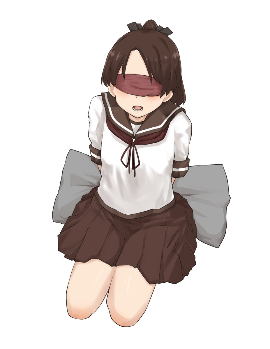 ブンブク目チャガマ科 tweet media