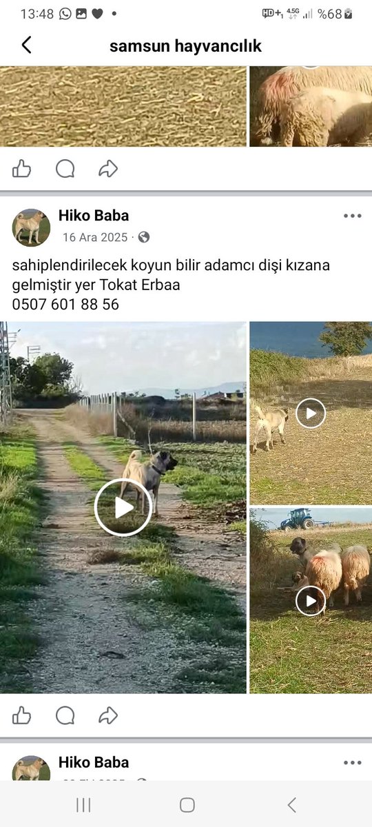 Evren Atakan Civan tweet media