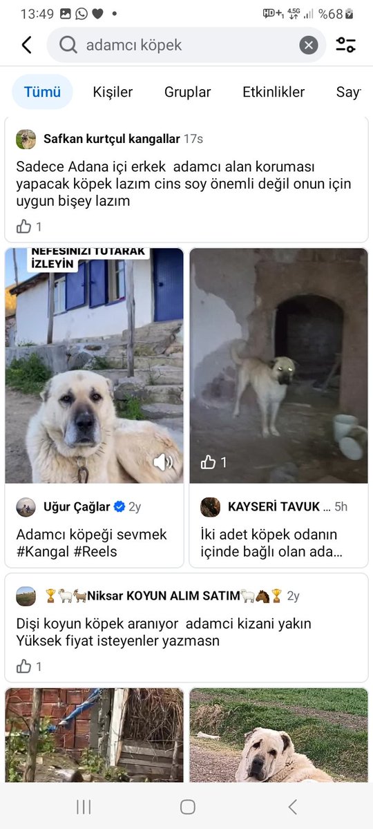 Evren Atakan Civan tweet media