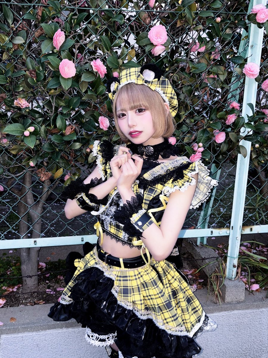 陽向みづぽ🐣🔆DIAVEL tweet media