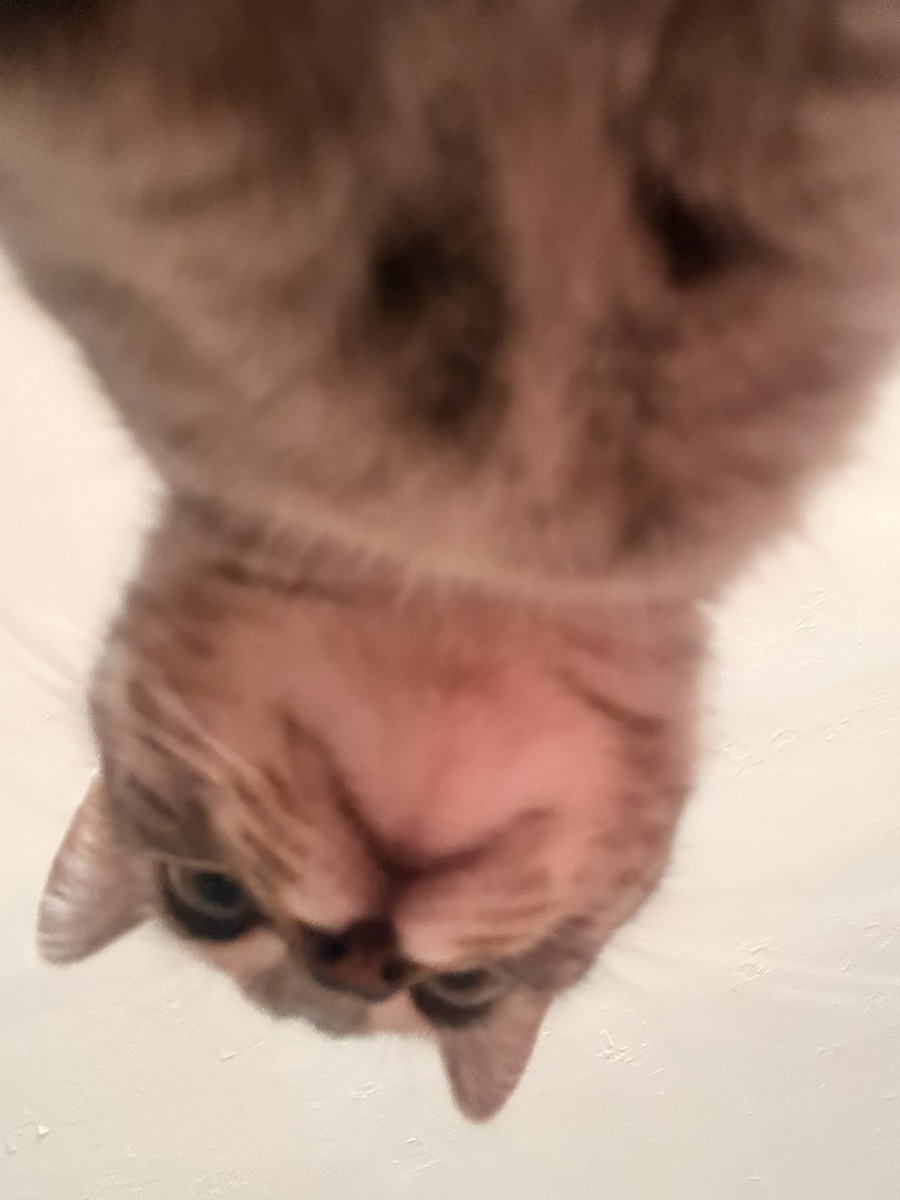 alienky5's tweet photo. 500$ a peice for toe beans pics… under 1 years old… very scandalous 🤣🤣 https://t.co/MUtxdBRG99
