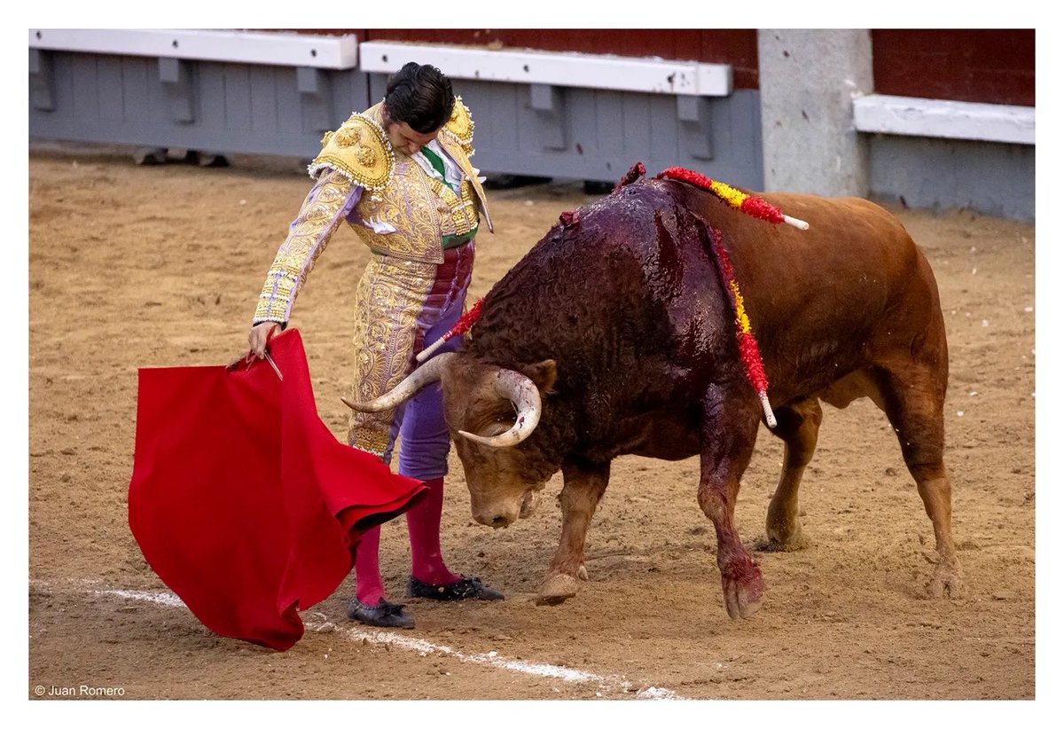 Tercio de Quites tweet media