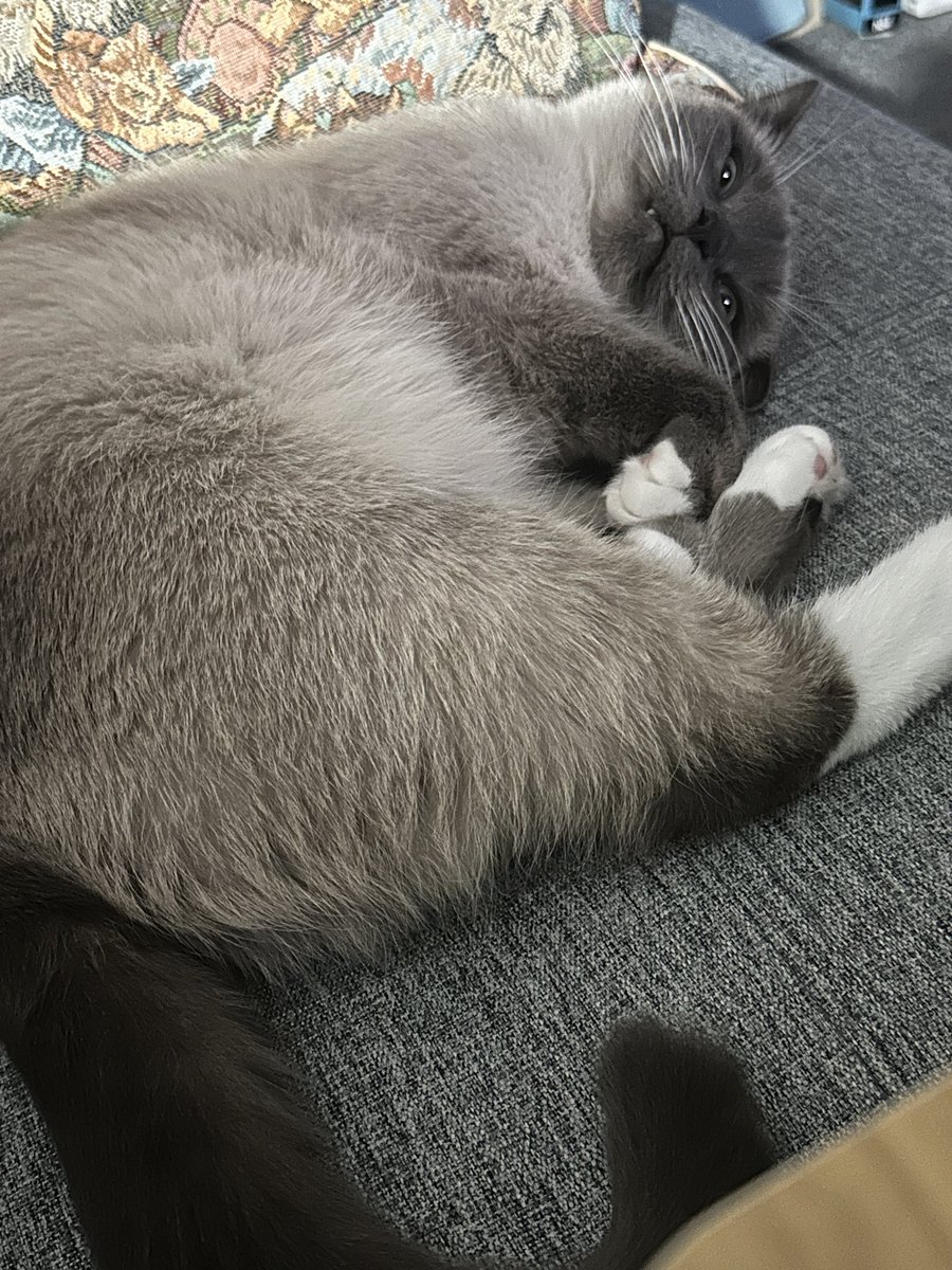 Kai G. Nikki 😎👍 Male On Stream ✨ Lovin’ Life tweet media