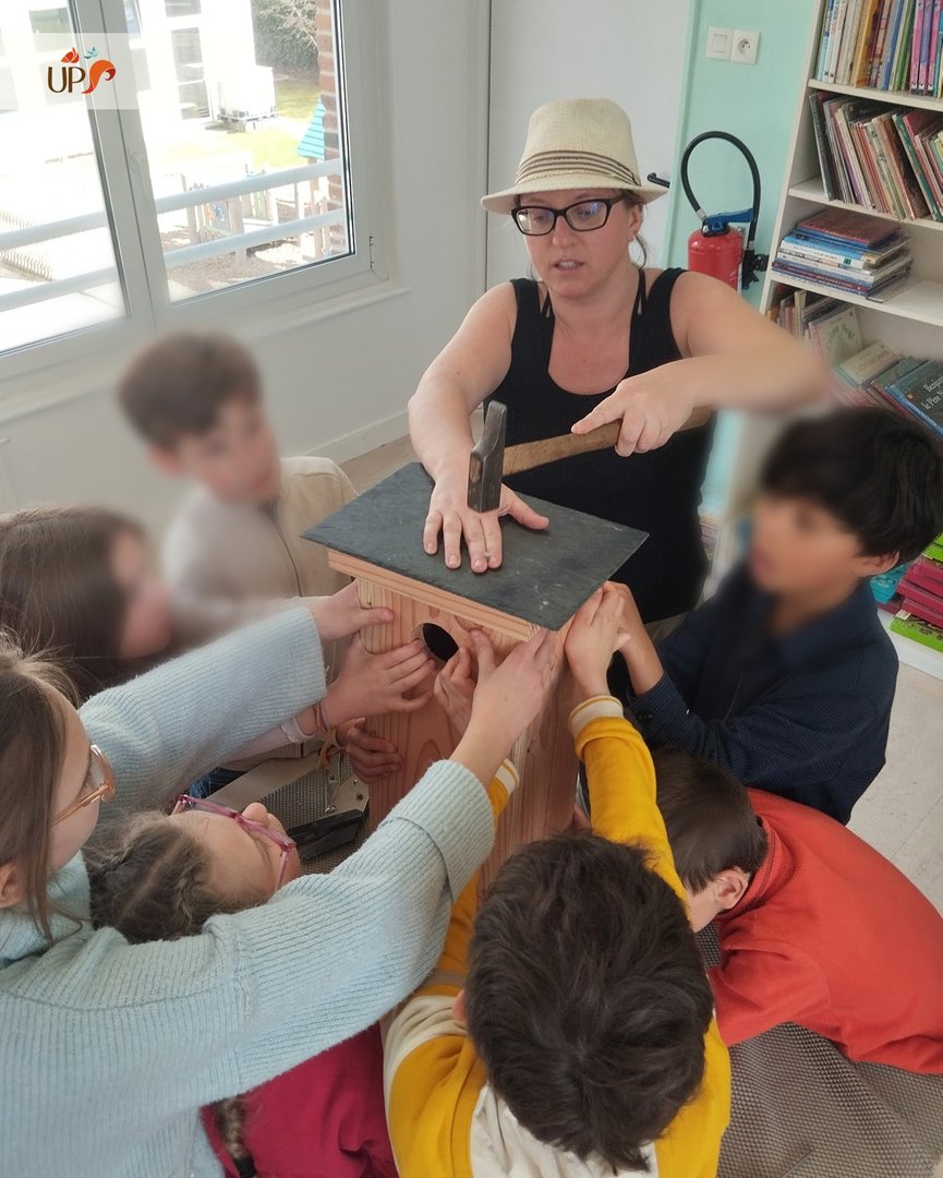 Biodiversitup's tweet photo. Des élèves et des animaux 🐣 Nous revoici à l’école Paul Bert de Bernay L’objectif de cette séance était de construire les nichoirs à oiseaux et carrés de découverte qui seront ensuite installés dans le square voisin. https://t.co/PlRtv97JzH