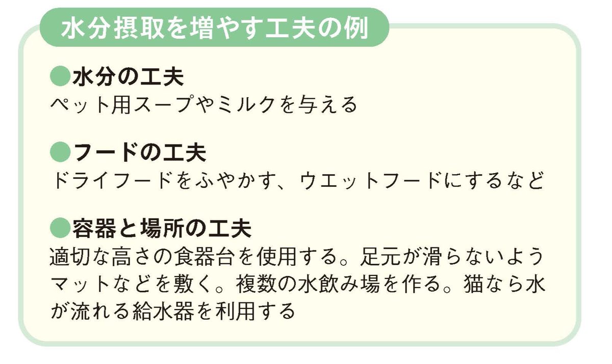 wannyanwalker's tweet image. ＼ずっと笑顔で過ごしたいから😊／
🐶ペットの高齢化対策🐶

食事の量や質、飲水量に注意💦

⚠️飲み込む力が弱まる
⚠️立ったままフードを食べ切るのが難しくなる
⚠️喉の渇きに鈍感になる etc...

フードをウェットフードにしたり
容量と置き場所の工夫をしよう😉

👇画像をチェック

#犬 #ペット