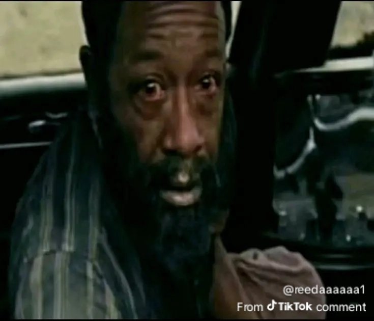 Mr. Nobody tweet media