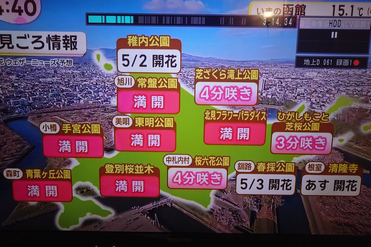 HTBイチオシで中札内村 桜六花公園の開花情報が放送されました