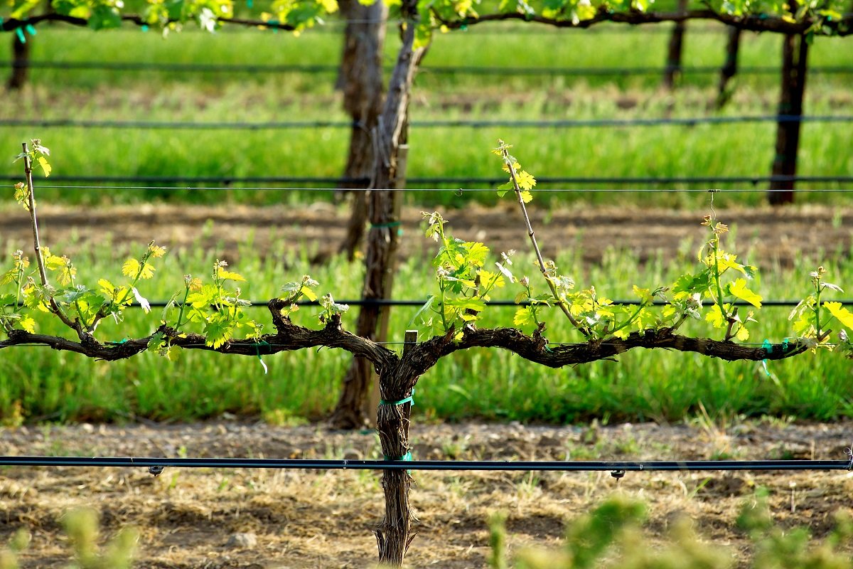 La Rioja Europa tweet media