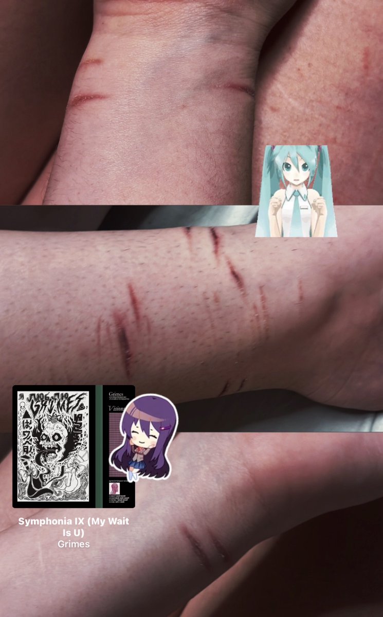 ִֶָ. ..mitty of shedtwt ࣪ ִֶָ🐾་༘࿐ tweet media