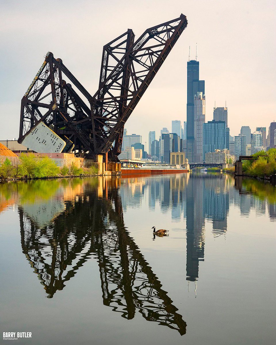 barrybutler9's tweet image. Fill My Eyes With That Double Vision. The South Branch of Chicago River reflection in April.  #chicago