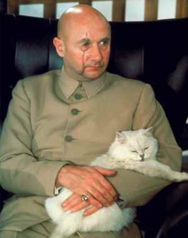 bj 🐈🐾 tweet media