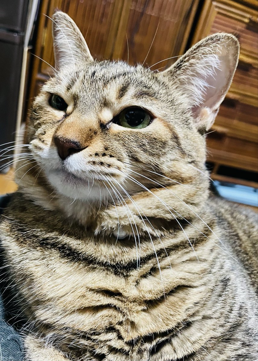 ミル⌘ミル tweet media