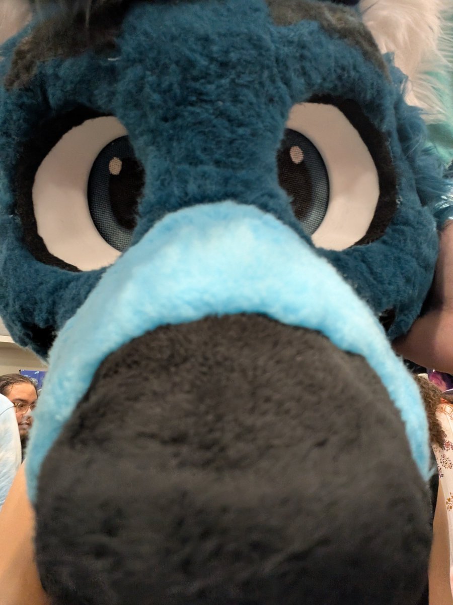 Storm Wusky ✨🔜 TFS tweet media