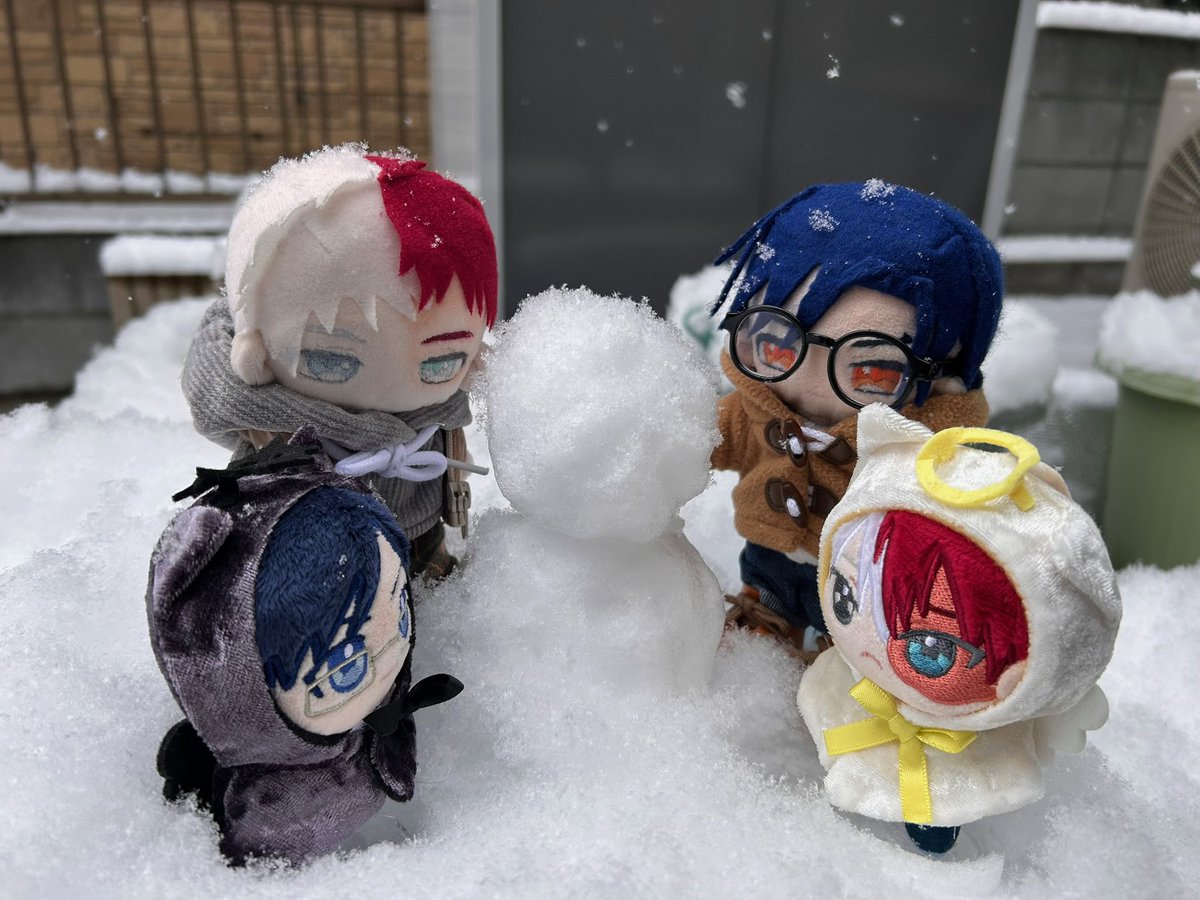 雪の日に撮った写真が出てきた
もう載せたことあるけど可愛いからみてほし