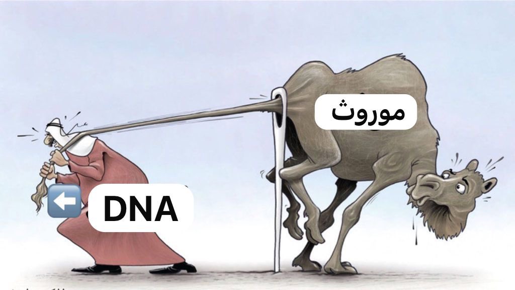 عنقري - ثرمداء tweet media