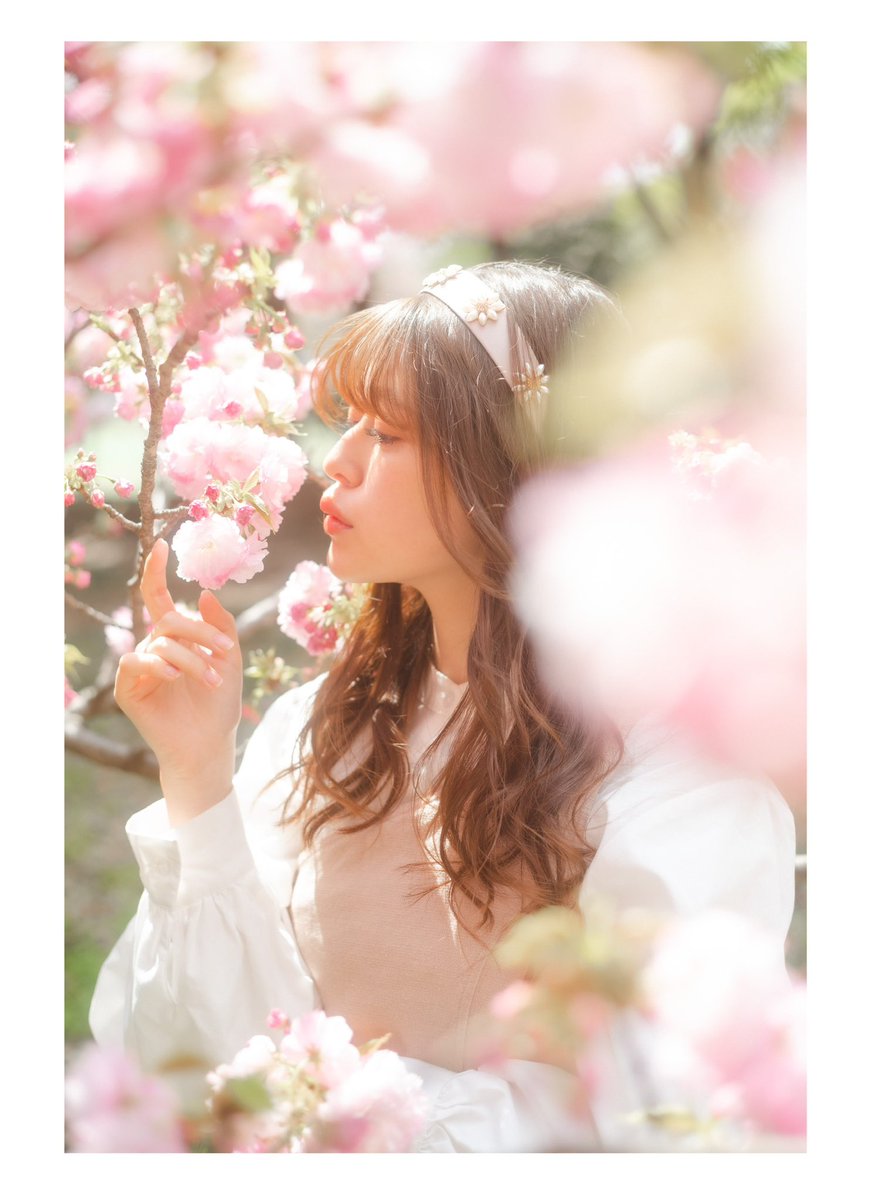 iwamoto tweet media