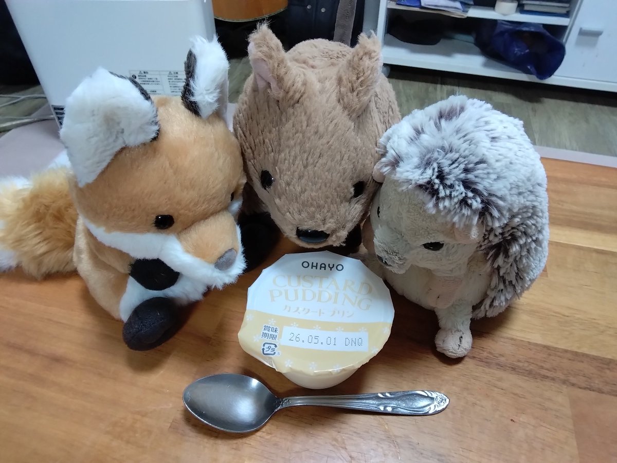 にゃー吉 tweet media