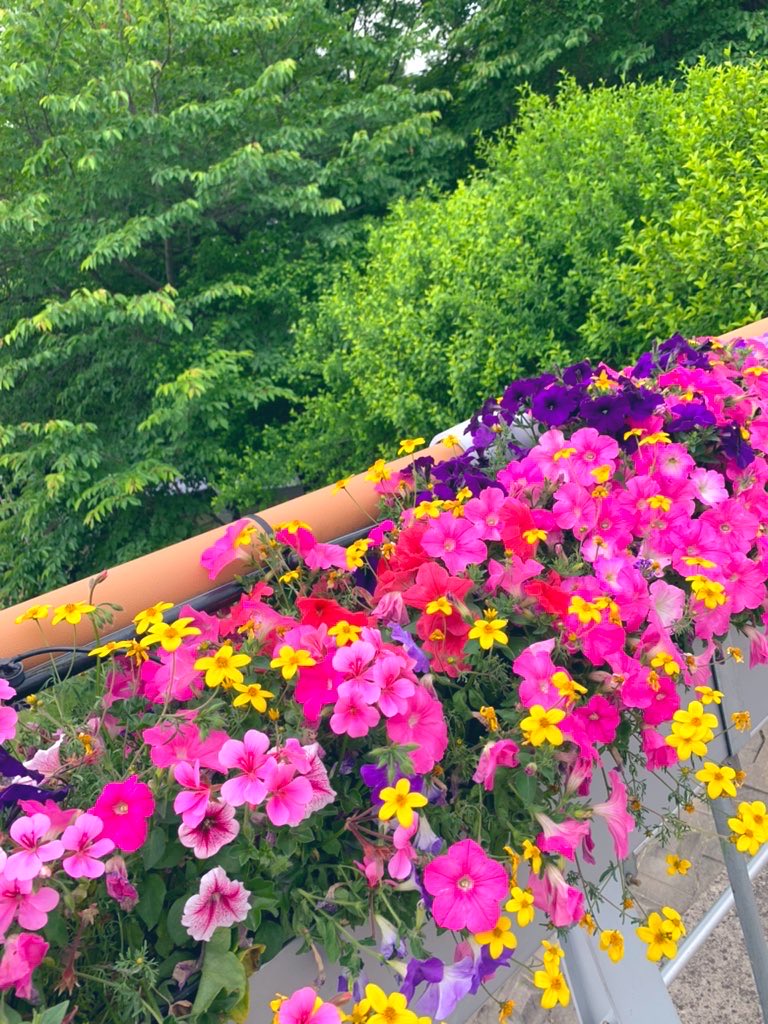 khss101's tweet photo. “손에서 놓는것은
쉬우나 마음에서
놓는것은 어렵다”

/좋은글 중에서 https://t.co/zv8FGdhs8x