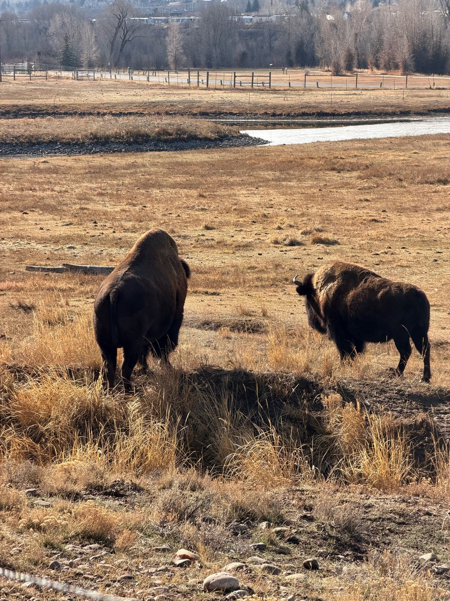 triplegoddessa1's tweet image. Connecting with nature can significantly enhance your well-being and spiritual growth. Learn more about nature and peace found in nature with Rowan. bio.site/rowanravenwolf
#triplegoddessapothecaryandreiki  #spiritualawakening #spiritualgrowth #pagan  #spiritjourney #nature