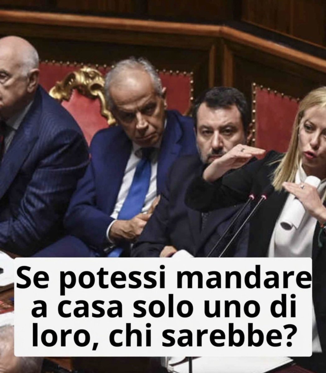 Frenkie_Woody tweet media