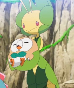 ポケモントレーナー のぇる🌱 tweet media