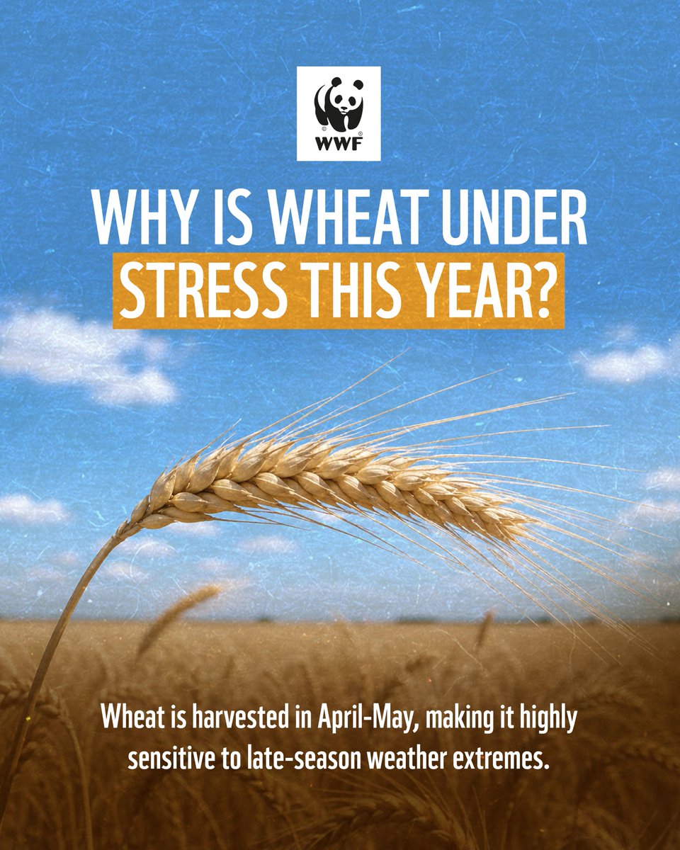 WWF-Pakistan tweet media