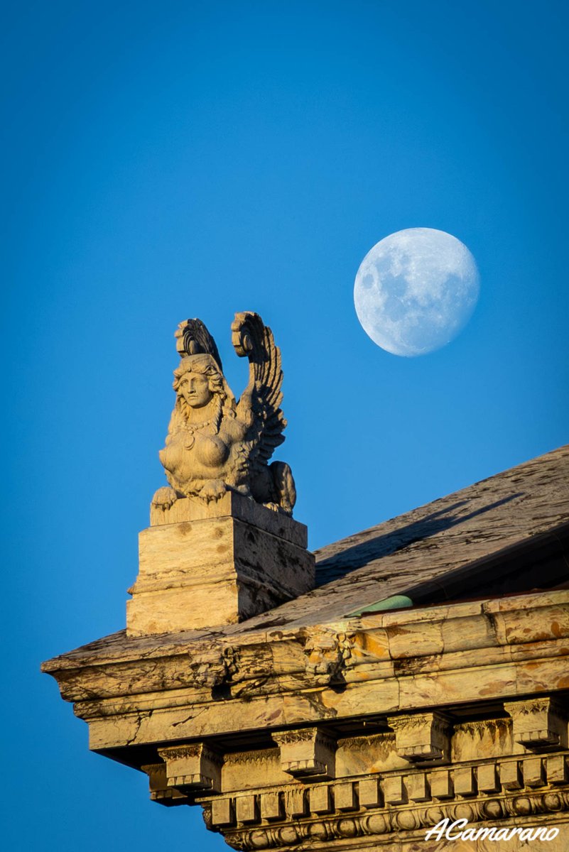 AngelCamarano1's tweet image. Arpía y Luna
Palacio Legislativo del Uruguay 
#Montevideo
