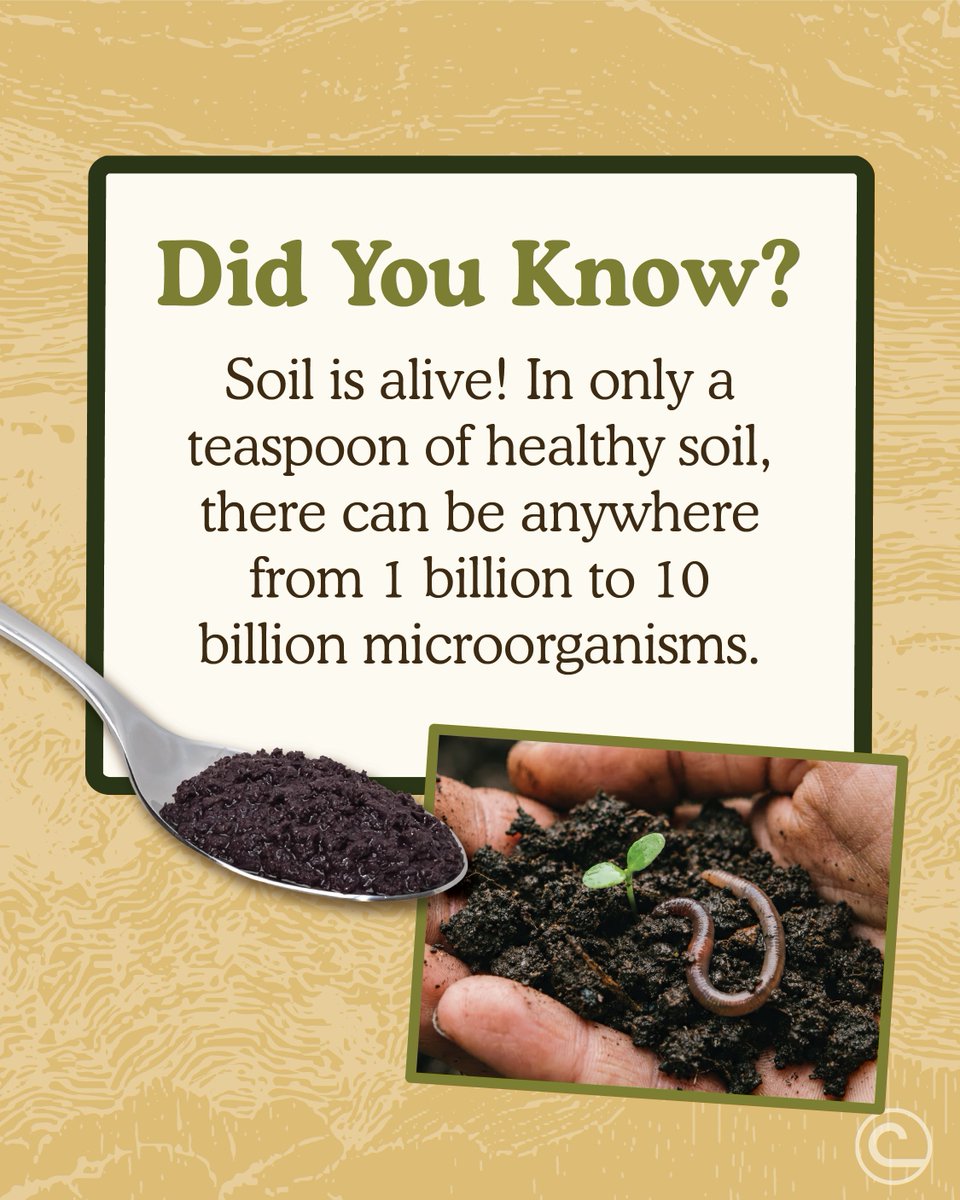 We're curious - do you ever wonder about the soil beneath the ground you are standing on? Probably not...but that's why we're here to tell you how cool it is.
🌱🍁🍄‍🟫🍁🌱 (we're also wondering why there's no soil emoji...🧐)

#soilwhereitallbegins #nacdstewardshipweek2026
