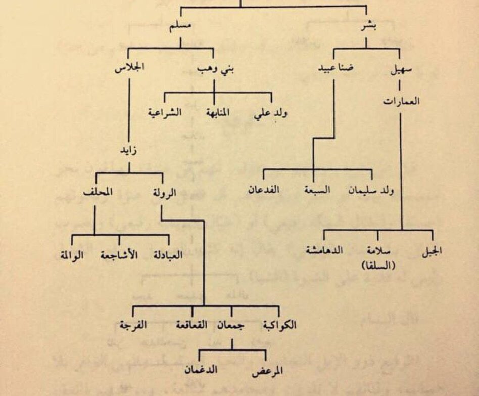 وسَّام العَلابي tweet media