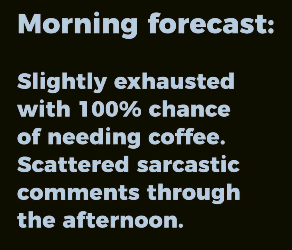 Barbara Madigin tweet media