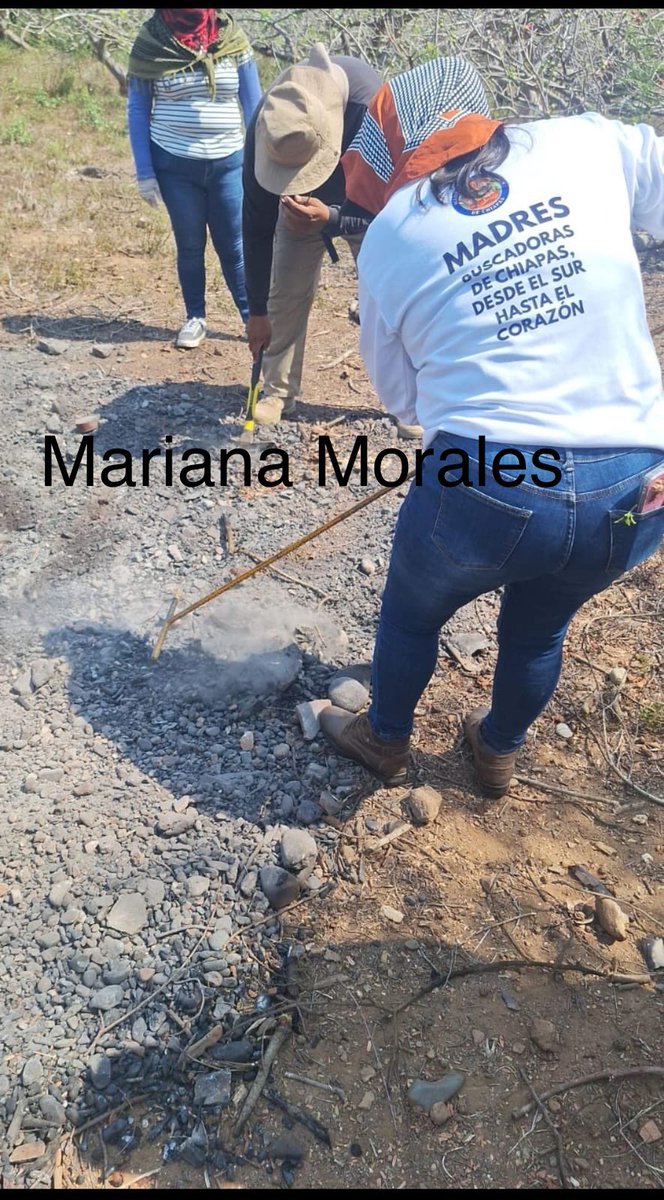 Las Madres Buscadoras de Chiapas hallaron esta tarde los restos quemados de los brazos de una persona. Falta todo lo demás.

Los huesos brotaron de la superficie de un predio, a las afueras del municipio Acalá, a poco más de 1 hora