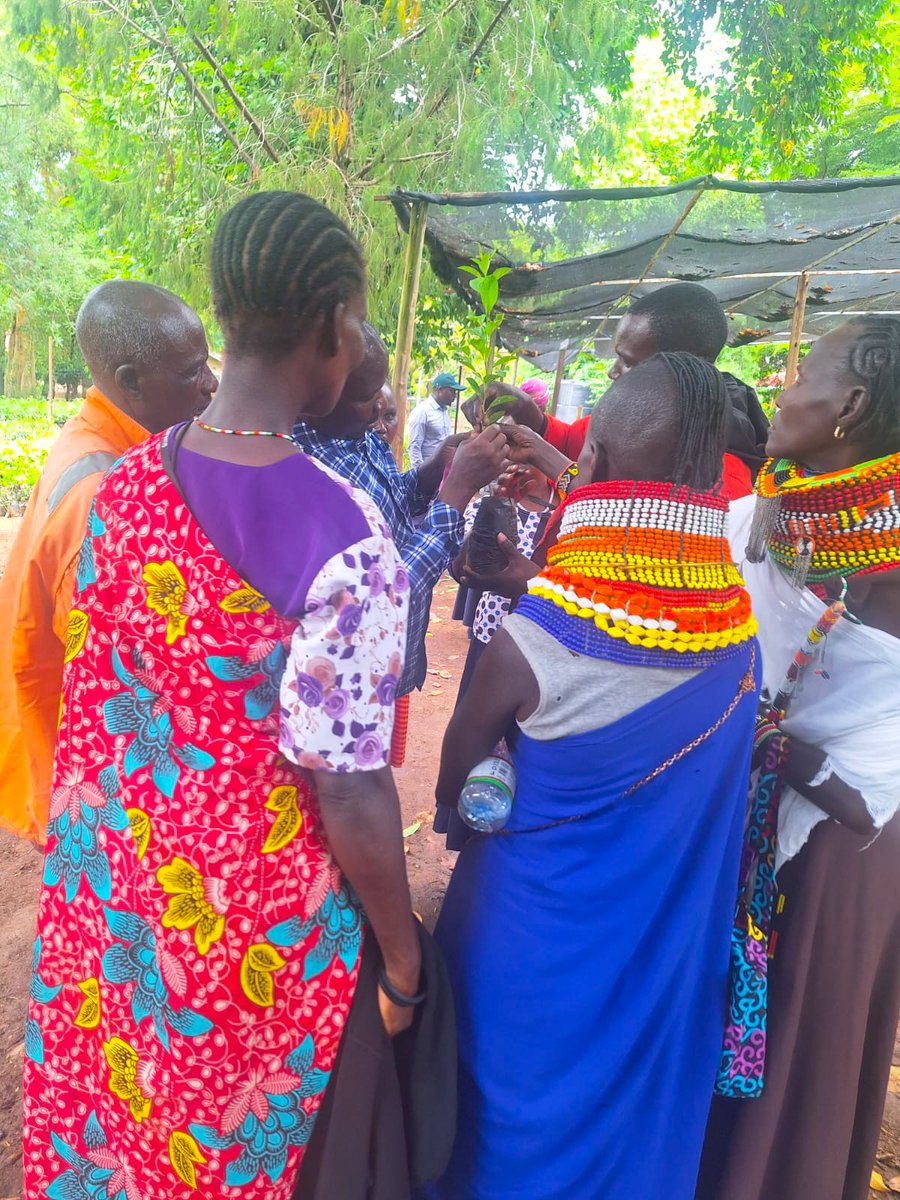 Ads_NRift's tweet image. Farmers from Turkana &amp;amp; West Pokot trained at Cheptebo under FOSECCA, gaining skills in agroecology, soil and water conservation, pest management &amp;amp; FMNR for resilient farming.

#ZeroHunger #ClimateAction #LifeOnLand