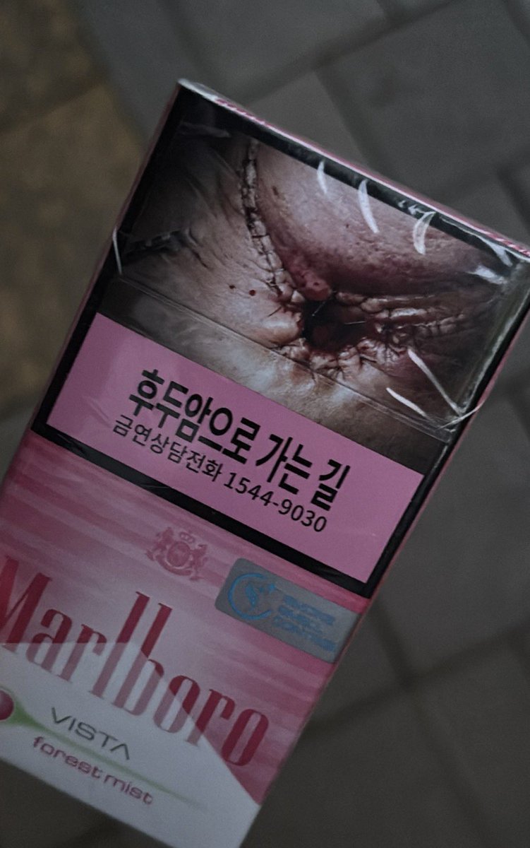 순애 tweet media