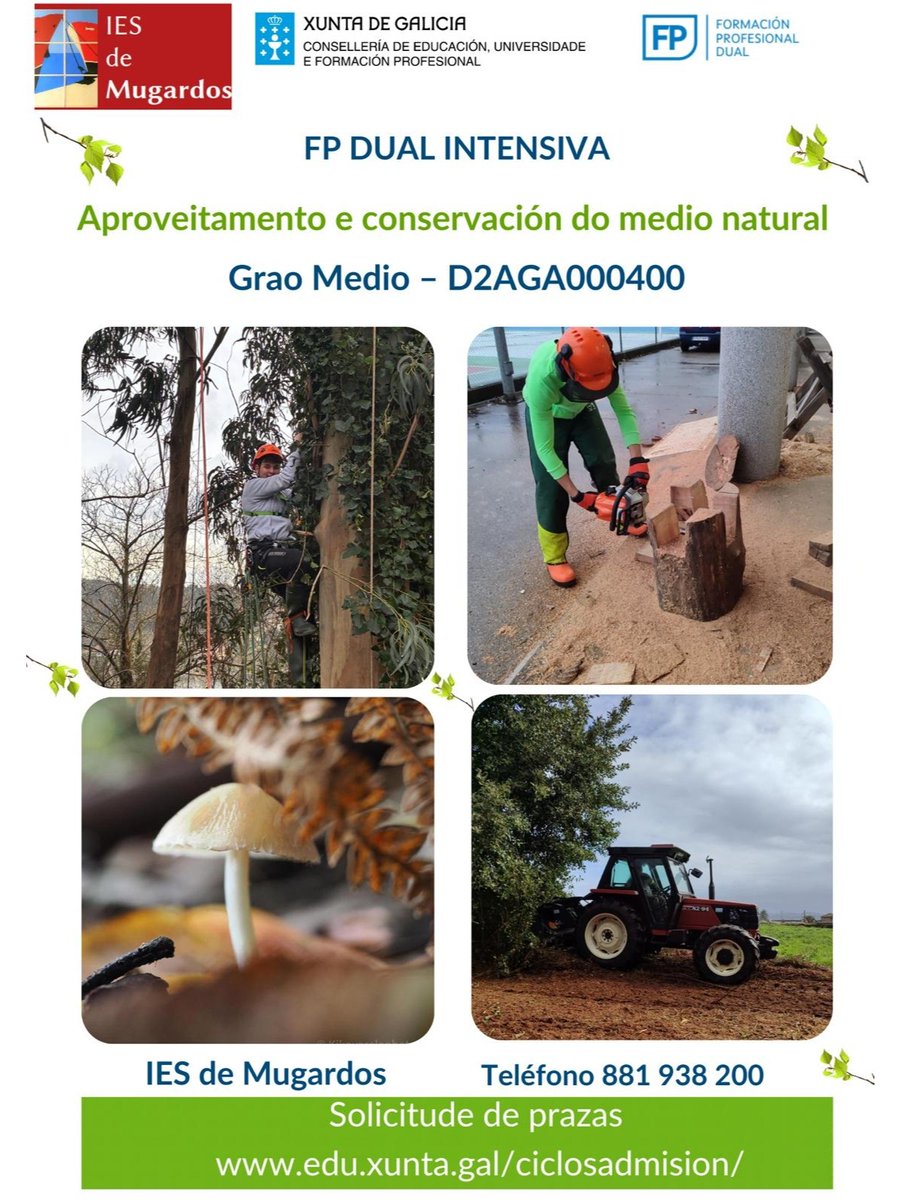 Concello de Pontedeume tweet media