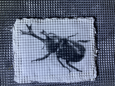slide_upmethod's tweet photo. カブトムシを秒で作品にしてみた
 #昆虫 #現代アート #紙粘土 
Beetle My ArtWork finished in 5 seconds
#現代アート　#contemporaryart 
#紙粘土　#paperclay　
#popart #LEGO
#digitalart #ドット絵 #dot
#ledscreen　 #pixelart https://t.co/PBGFruDwm1