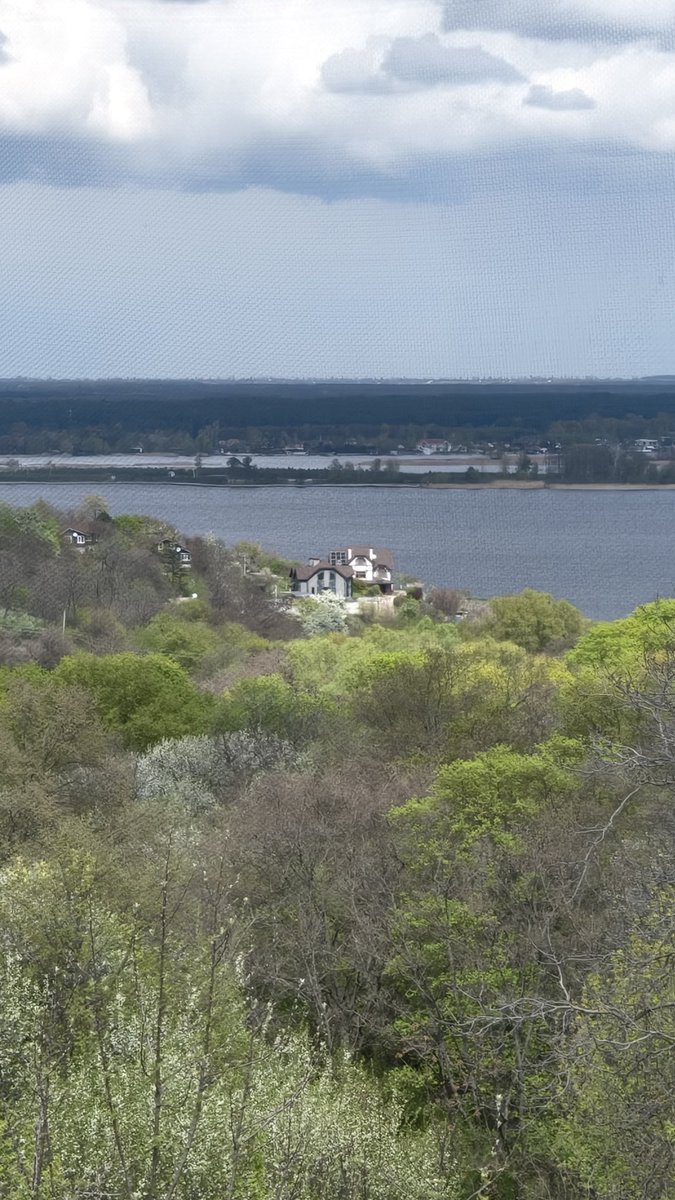 Сергій Новиченко tweet media