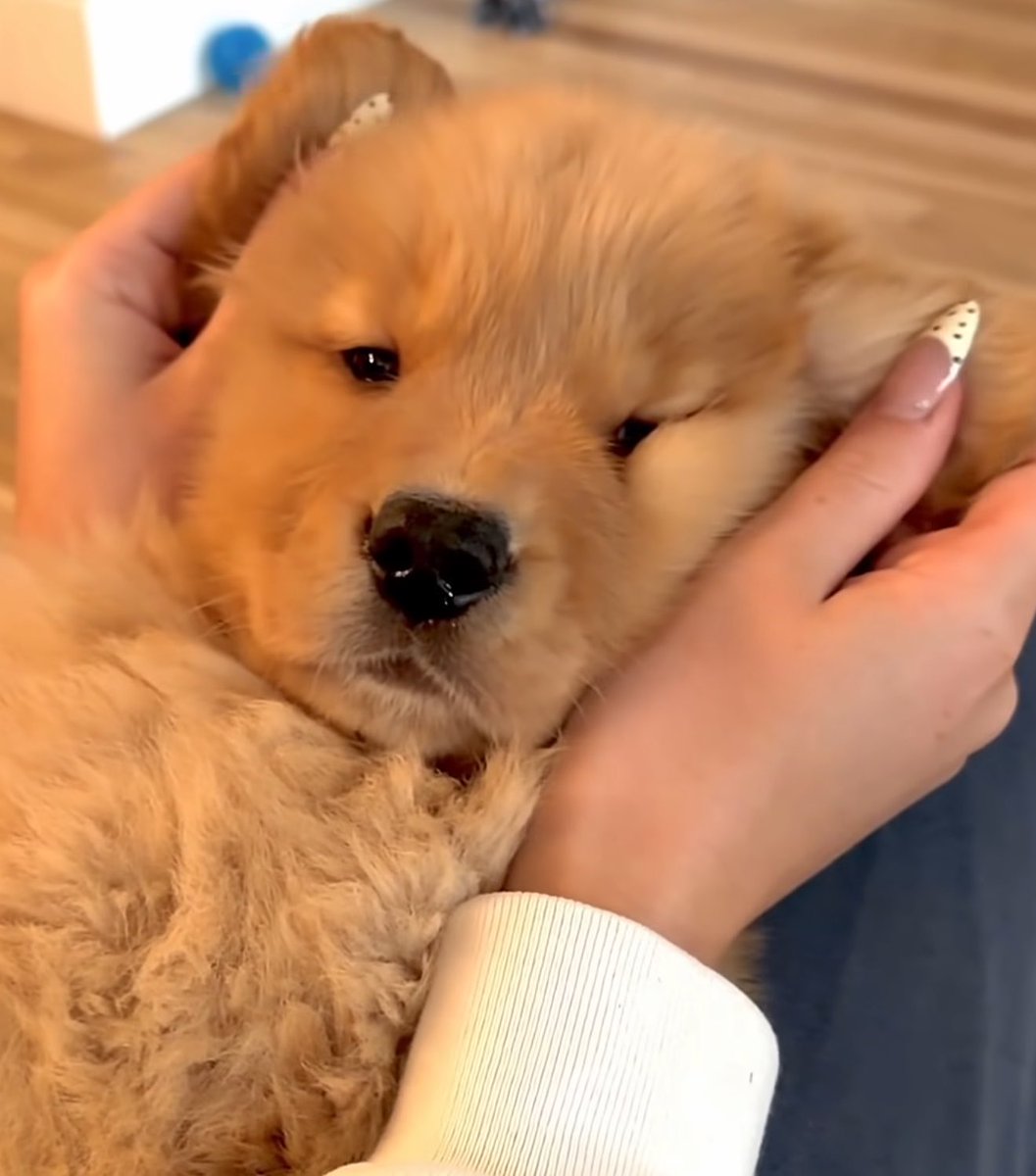 takemybear 🐶 tweet media