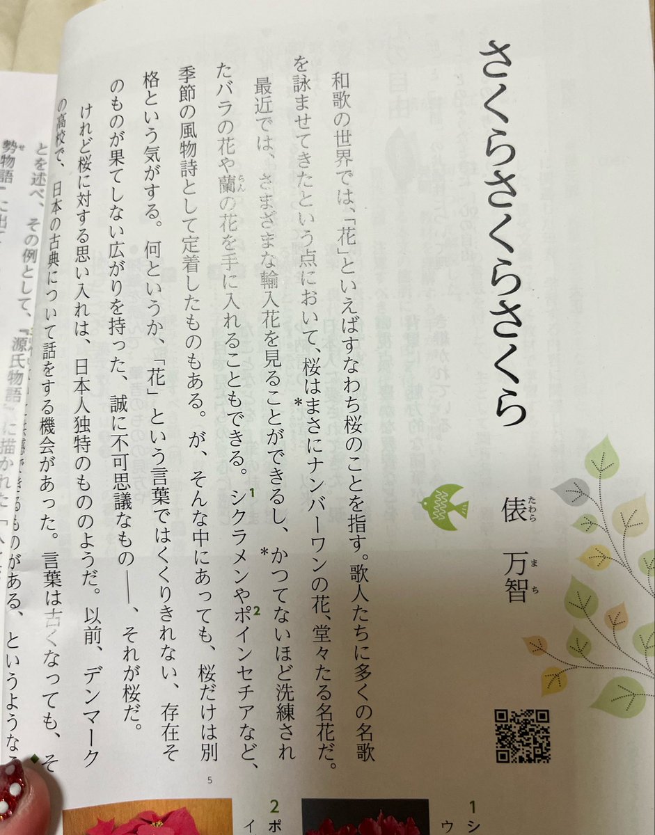 ＊キャサリンページになります＊ 子の教科書がまさに、わたし向け。