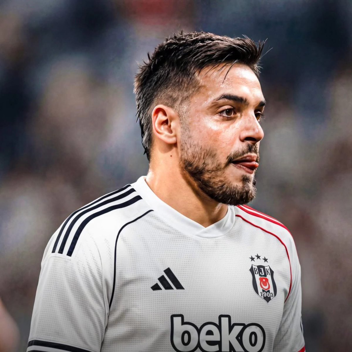 Beşiktaş Haber Portal tweet media