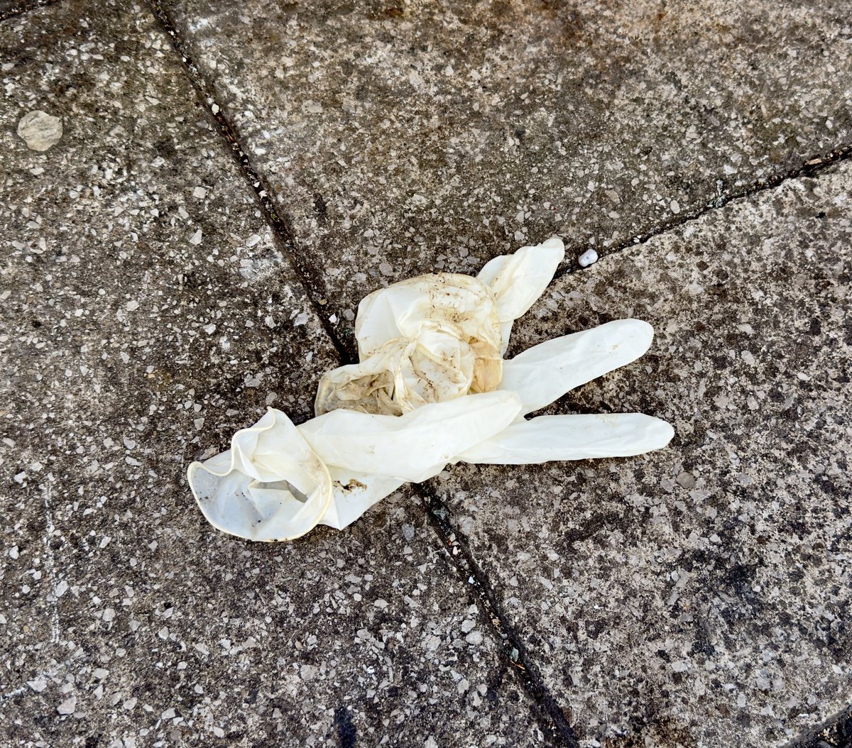 hugomichaels's tweet photo. Just #vile with #rubbish all over. Used sanitary towels, ripped bins full of waste. . @BrightonHoveCC @RecyclingRefuse @BrightonIndy @brightonargus @MailOnline https://t.co/87q5TxRlFu