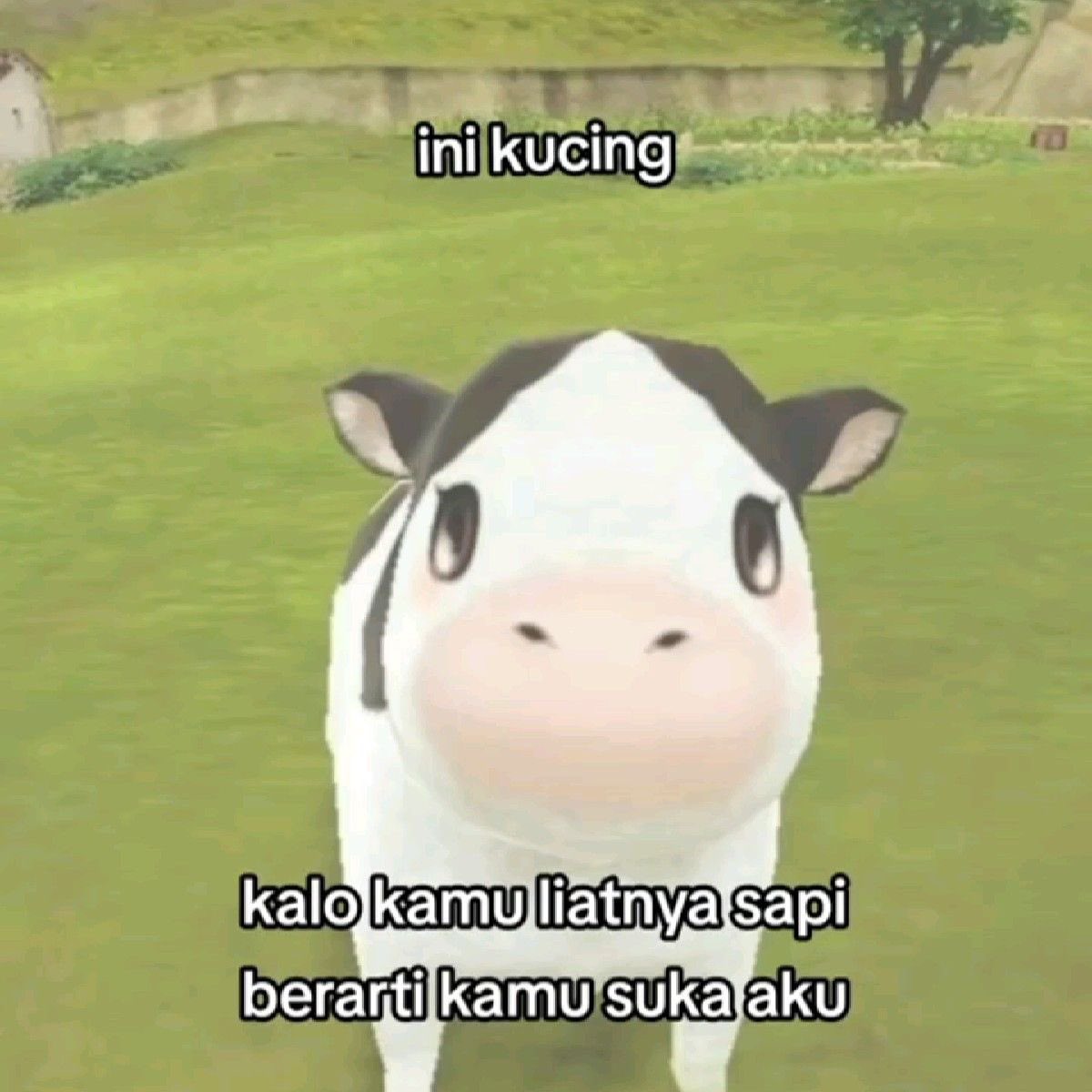 ૮꒰ σ̴̶̷̤ . σ̴̶̷̤ ꒱ა 🧃🦒 tweet media