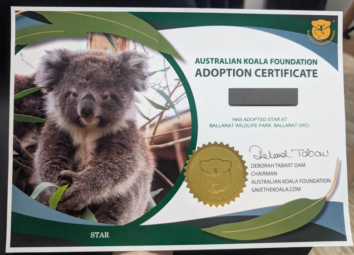 🐹COZY🐨 on X: 
