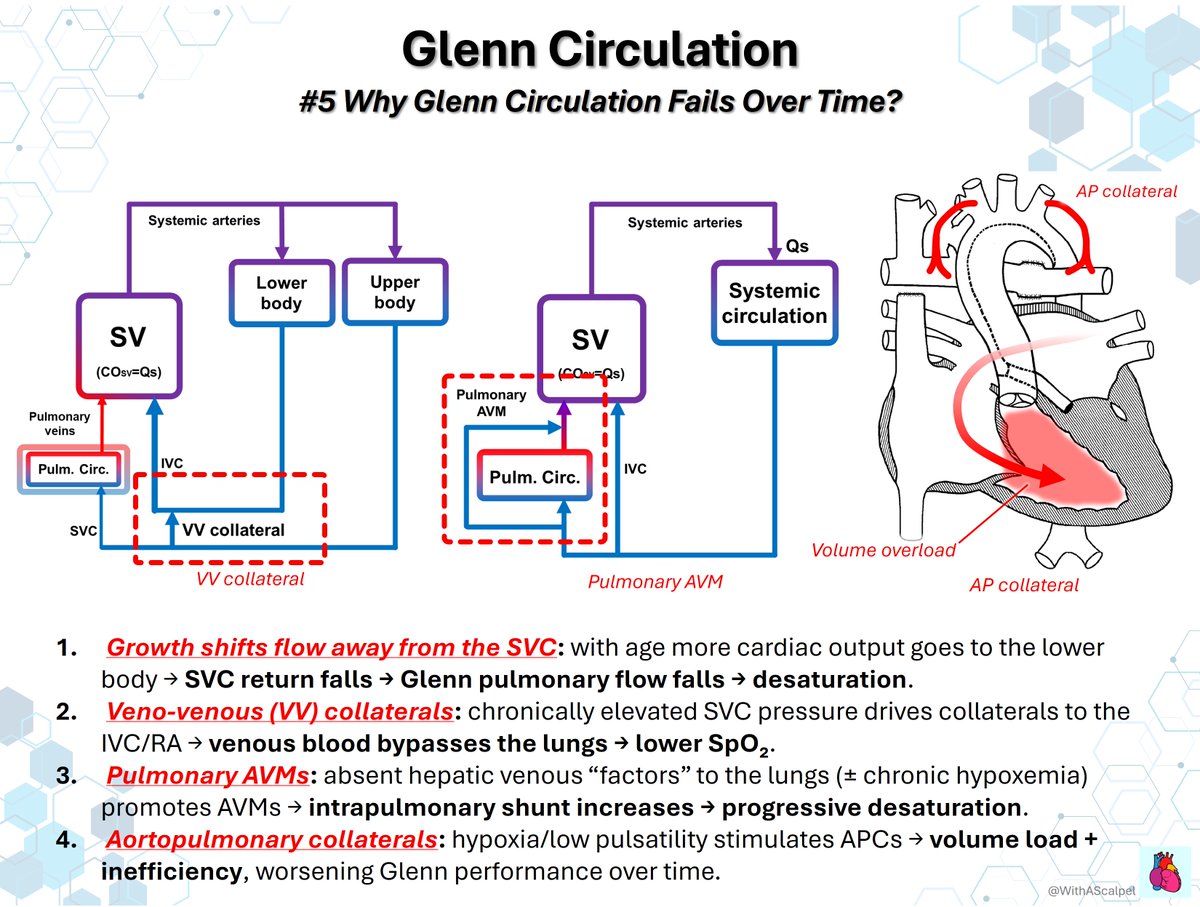 WithAScalpel - Fumiya Yoneyama, MD, PhD tweet media