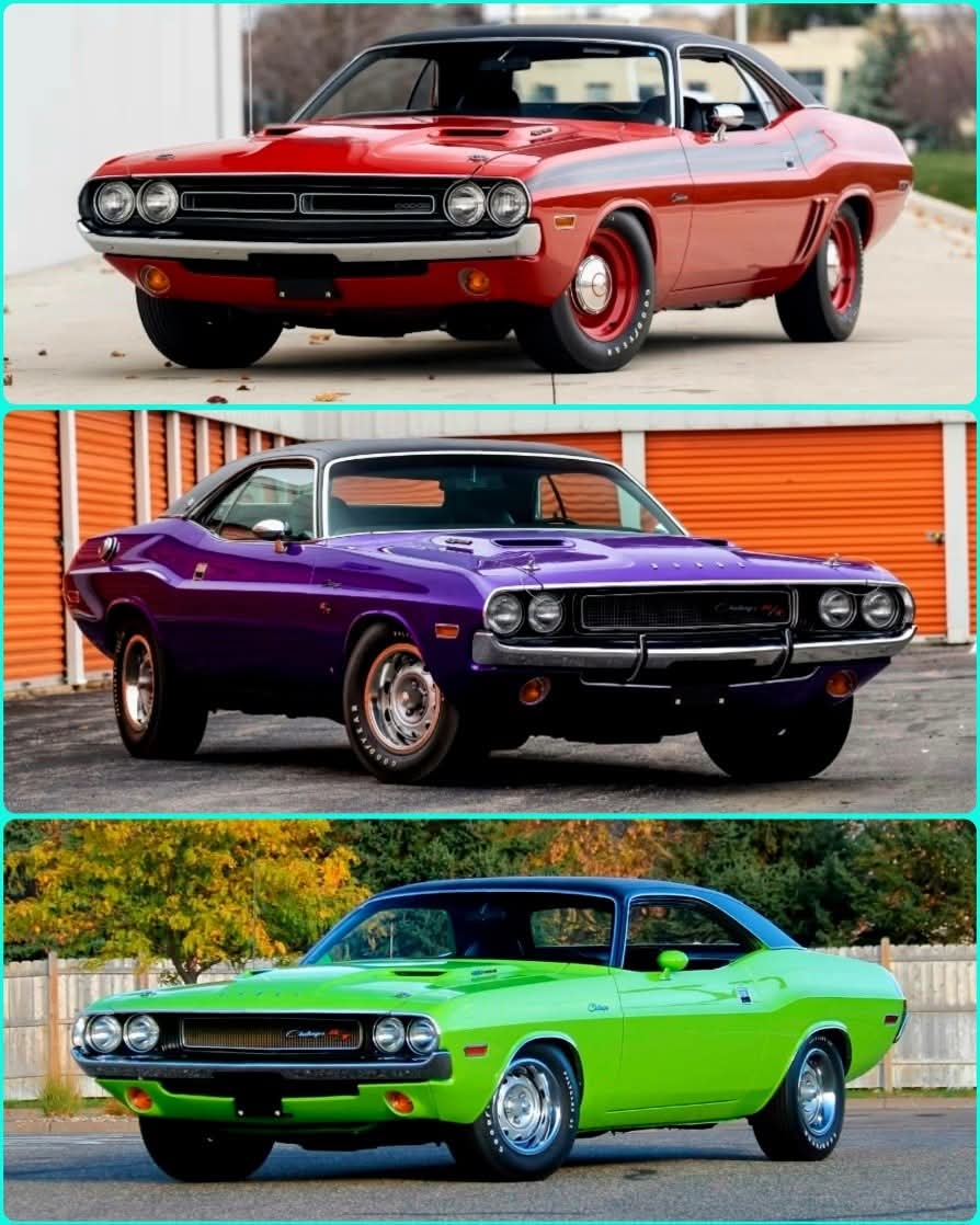 Classic Car Logic tweet media