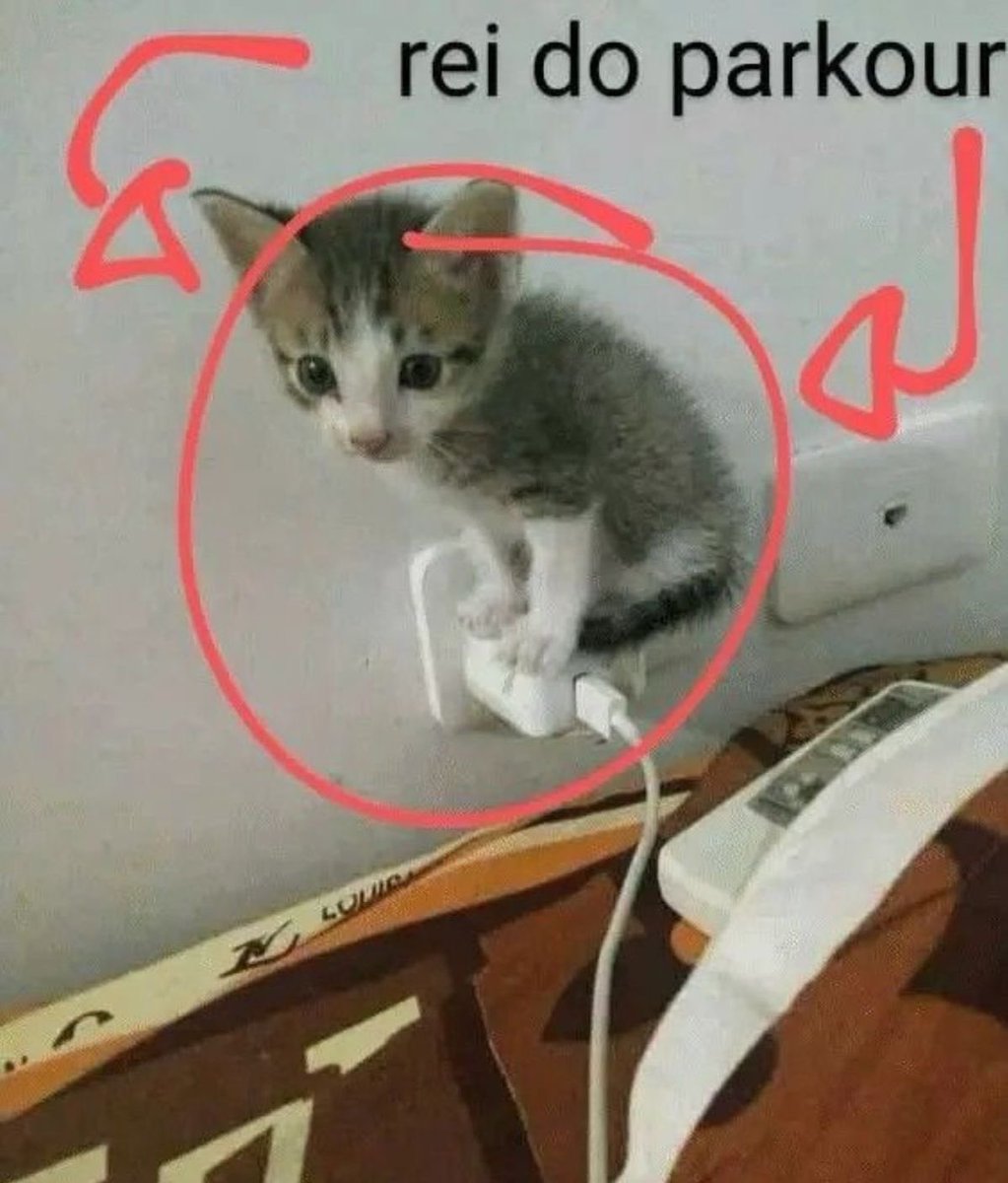shitpostverdade's tweet photo. https://t.co/h85QQD1W5r