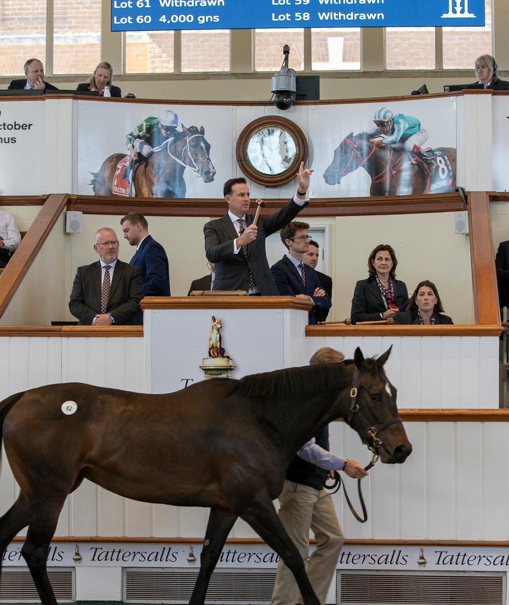 Tattersalls tweet media