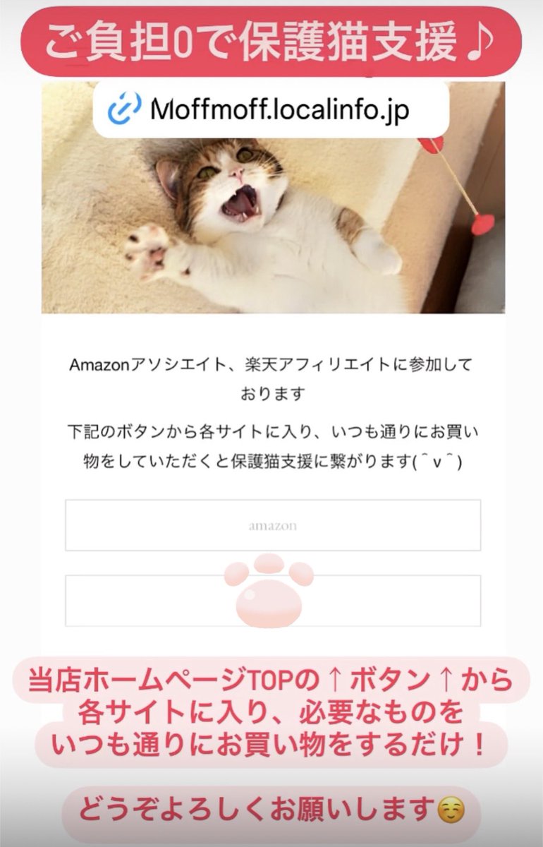 保護猫カフェmoff moff🐈 tweet media