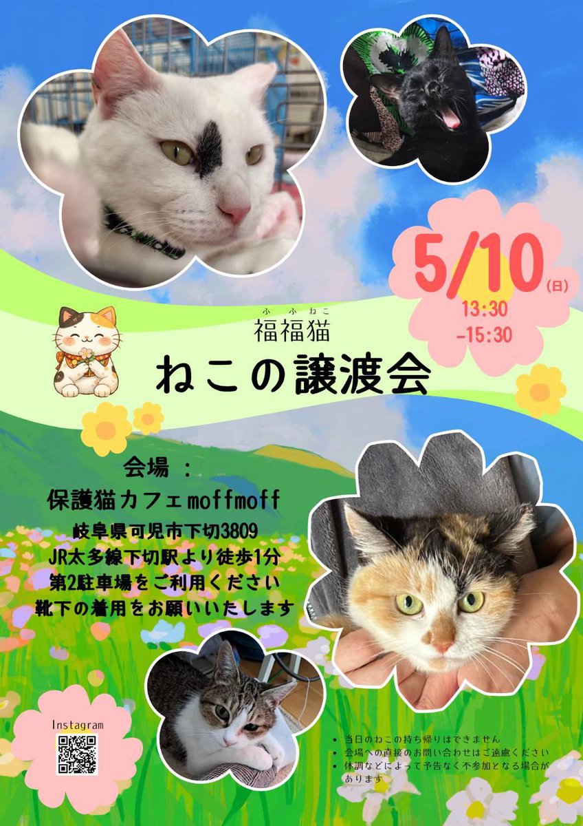 保護猫カフェmoff moff🐈 tweet media