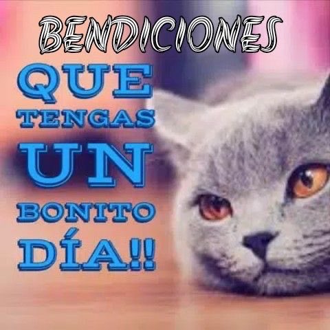 coolfunnnn's tweet photo. buenos días https://t.co/XwjFaTOlJm