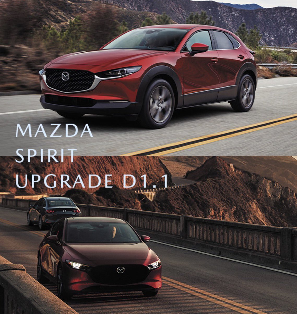 Napon🍎テスラ&タイプR tweet media